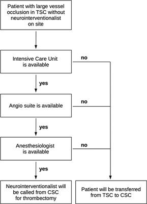 Clinical outcome, recanalization success, and time metrics in drip-and-ship vs. drive-the-doctor: A retrospective analysis of the HEI-LU-Stroke registry